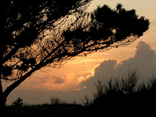 DSCN0805.jpg