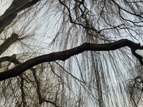 20240211_104801.jpg