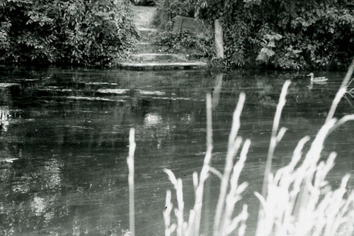 Sara, marais de Bourges