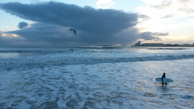 surf.jpg