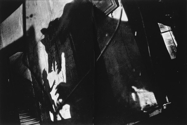 sarah moon loup.jpg