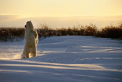 Ours Love.jpg