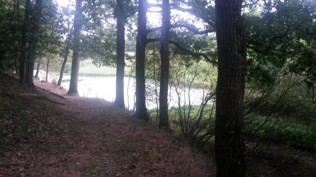 20140928_182748.jpg