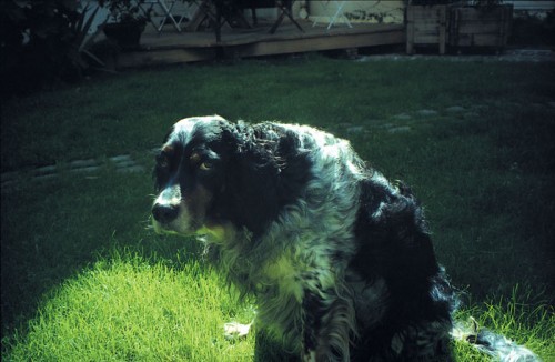 17.07.01_5 gange.jpg