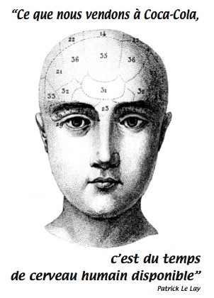 cerveau dispo.jpg