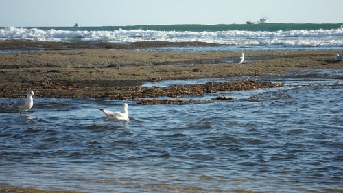 sea by mavra.JPG