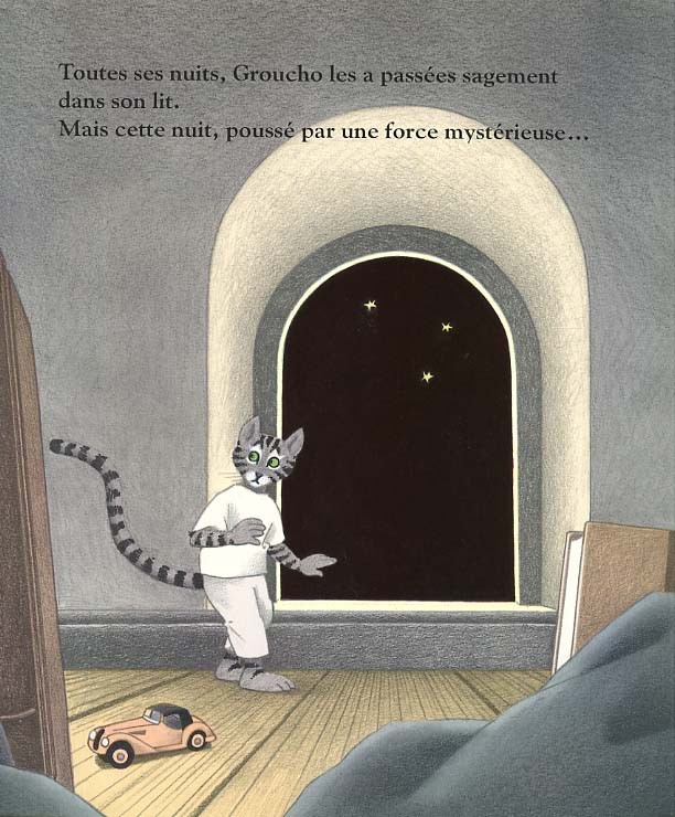 la nuit, un chat 1.jpg