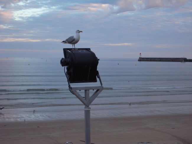 L'olonnois, Sables d'Olonne, polar enfantin, Barbier, ragondin, police, gendarmerie, capitainerie, baroudeur, vengeance, goût de cendre, Sables d'Olonne, piraterie, tank, sous-marins, DDASS, prison, palais de justice, école maternelle, humiliation, carrière, apothéose