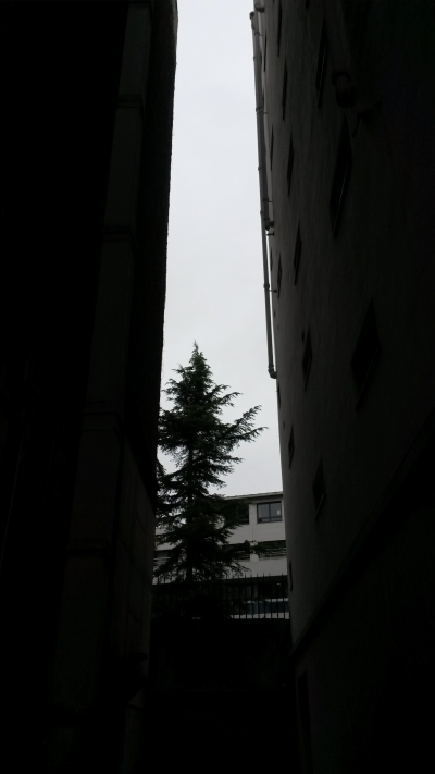 20171110_130330[1].jpg