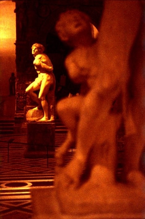 michel ange,l'esclave,musée du louvre,sully prudhomme,les yeux