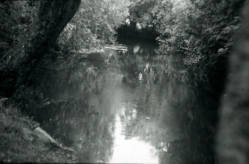 Sara, marais de Bourges