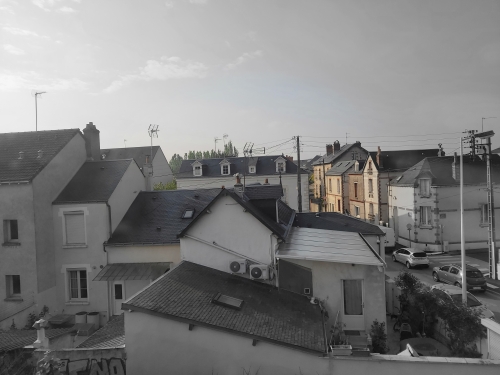 20220425_184204.jpg
