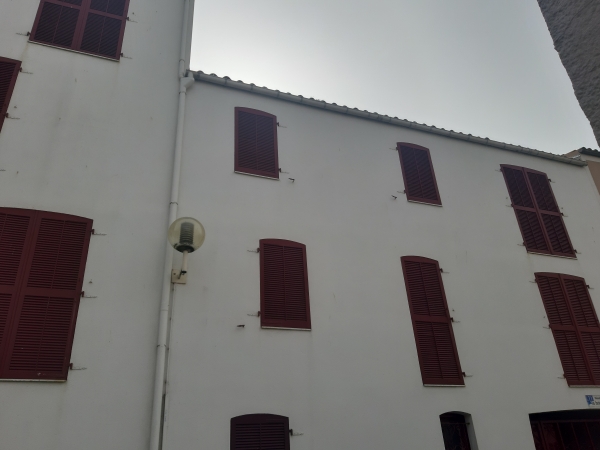 20201006_134746.jpg