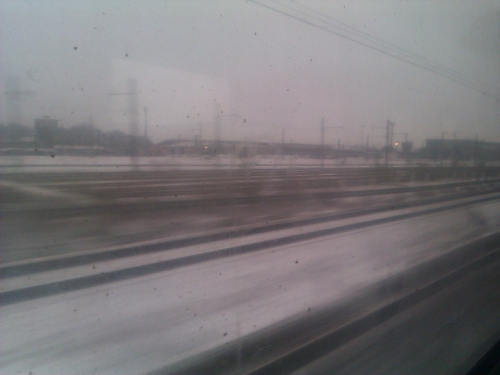 Vue du train.jpg