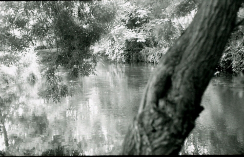 Sara, marais de Bourges