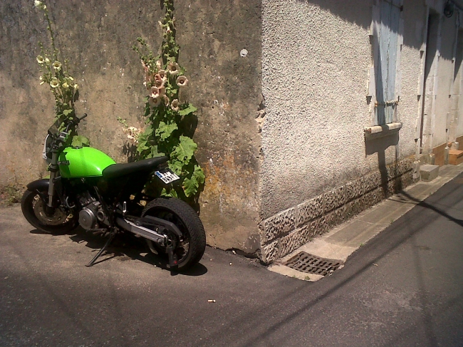 verdure.jpg