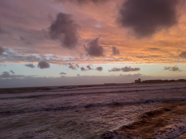 20201003_194422.jpg