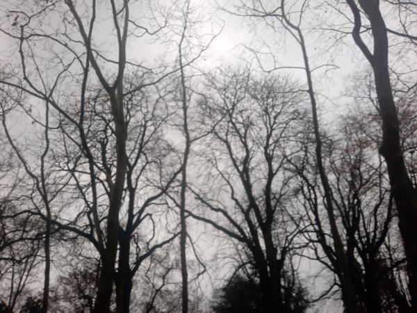 20211225_154856.jpg