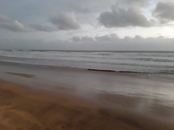 20201003_200238.jpg
