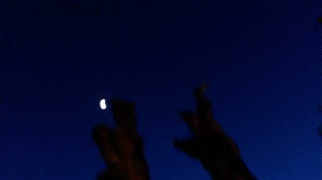 20150224_192035.jpg