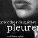 J’entendais ta guitare pleurer