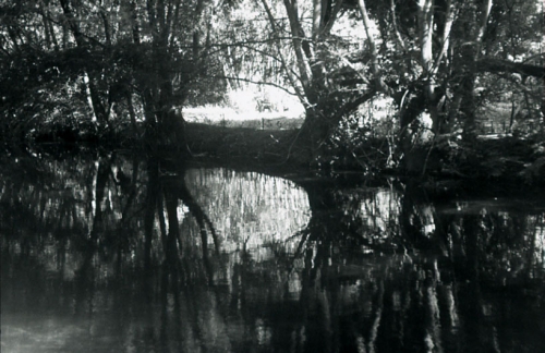 Sara, marais de Bourges