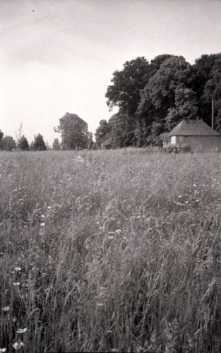 1979.PontHus467.jpg