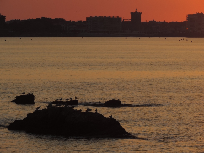 baie de cayola,paris-les sables d'olonne,arthur rimbaud,ethiopie,viol,danse,transe,charles baudelaire,baudelairien,île de la désolation,nécropole,nécropolis,insomniapolis,célibataire,cité,joug,buveur,zénith,lagune,lacune,magnanimité,ballade,charade,parade,minuit