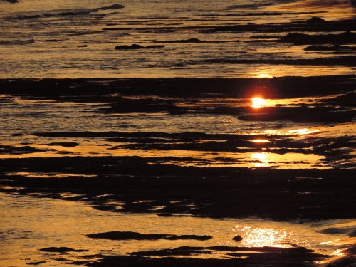 2014.06.30.LS.Plage15.jpg