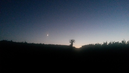 20160806_220028.jpg