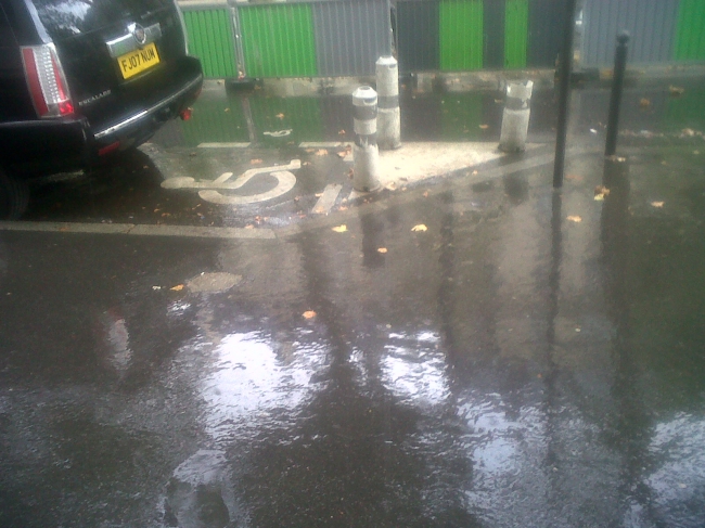 IMG02285-20130906-1055.jpg