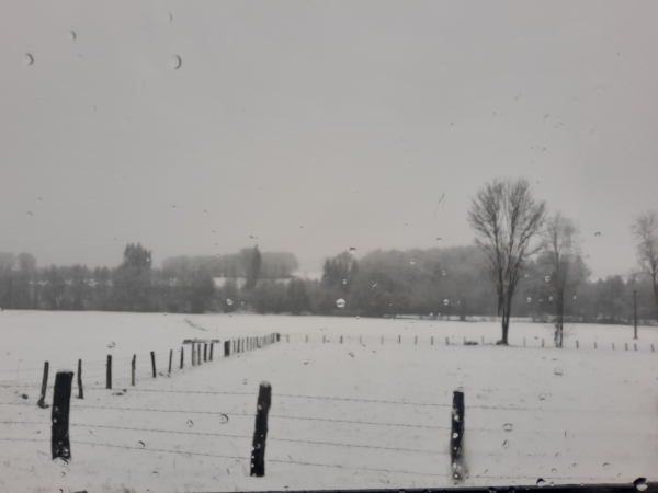 20211128_115128.jpg