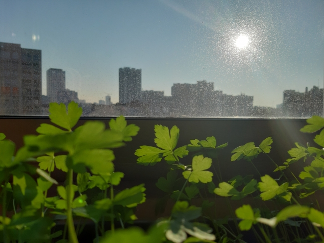 20190413_083824.jpg