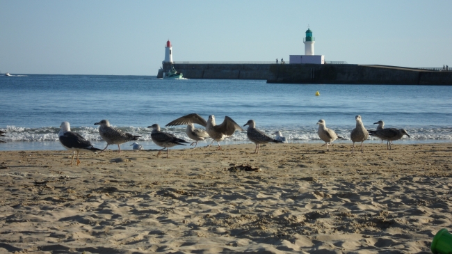 Sables d'Olonne, Sables de septembre, Mavra Nicolaïevna Novogrochneïeva, mouettes, plages, Olonne