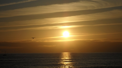 ésotérisme, Pierre Riffard, René Char, lucidité, soleil