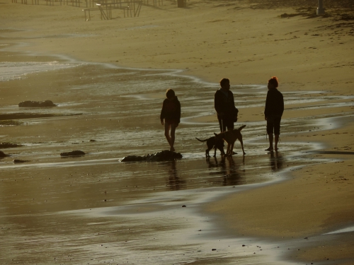 2014.06.30.LS.Sur la plage1.jpg