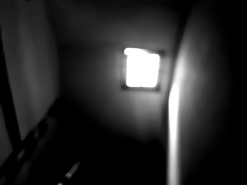 20201121_160042.jpg
