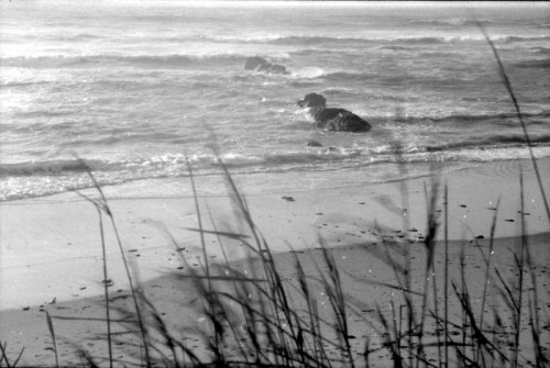 4 Ilford 125.jpg
