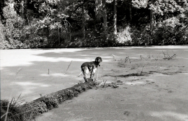 Gange, Sara, chemin des Dames