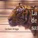La ballade de la faune sauvage