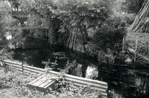 Sara, marais de Bourges