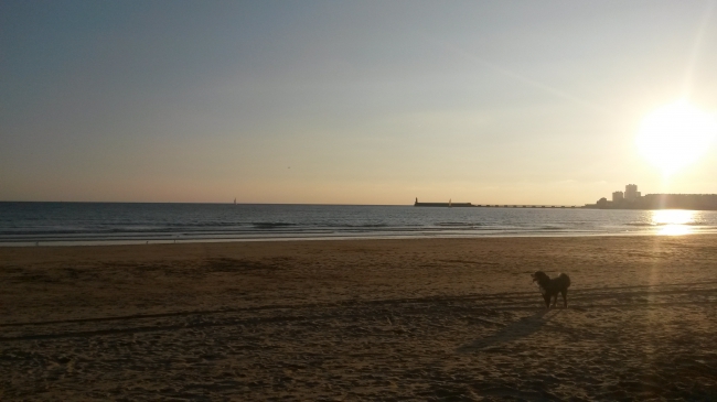 20151003_190414.jpg
