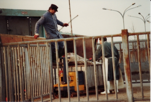 abattoirs,condition animale,transports animaux,végétarisme,protection animale,droits des animaux,jean-luc daub,ces bêtes qu'on abat,maltraitance