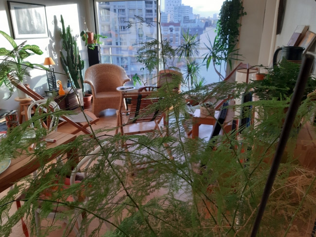 20190308_075813.jpg