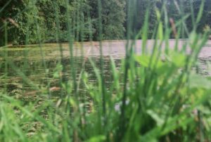 Lettre à Erika Noulste