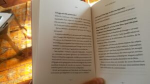 « L’image illusionne, à cause de sa manière de ressembler au réel »