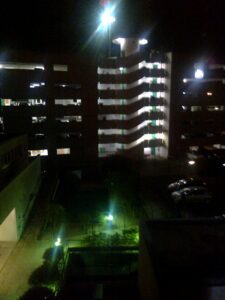 Les haies