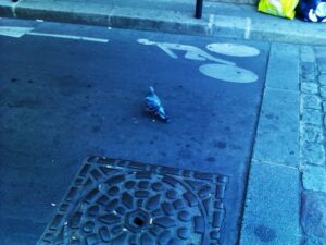 Une Marche humaine (un texte de 2007)