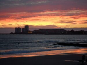 Si loin d&rsquo;Olonne…