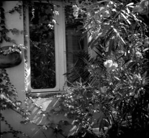 Chez elles (et les archives d’AlmaSoror)
